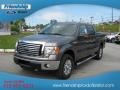 Sterling Gray Metallic - F150 Lariat SuperCrew 4x4 Photo No. 2