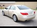 Champagne Beige Metallic - Genesis 4.6 Sedan Photo No. 6