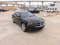 Pitch Black - Charger R/T Plus Photo No. 7