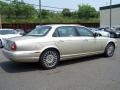 Winter Gold Metallic - XJ Vanden Plas Photo No. 6