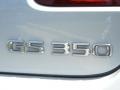 Glacier Frost Mica - GS 350 Photo No. 9