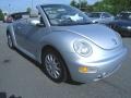 Reflex Silver Metallic - New Beetle GLS Convertible Photo No. 5