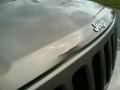 Light Khaki Metallic - Patriot Sport Photo No. 4