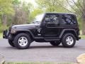 Black - Wrangler Sport 4x4 Photo No. 17
