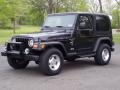 Black - Wrangler Sport 4x4 Photo No. 18