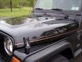 Black - Wrangler Sport 4x4 Photo No. 23