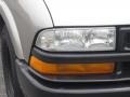 Sandalwood Metallic - S10 Extended Cab Photo No. 34