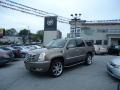 Radiant Bronze - Escalade AWD Photo No. 59