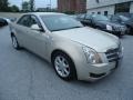 Gold Mist - CTS Sedan Photo No. 4
