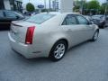 Gold Mist - CTS Sedan Photo No. 6