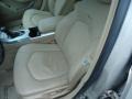 Gold Mist - CTS Sedan Photo No. 12