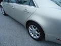 Gold Mist - CTS Sedan Photo No. 45