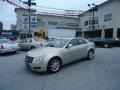 Gold Mist - CTS Sedan Photo No. 46