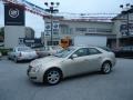 Gold Mist - CTS Sedan Photo No. 47