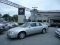 Radiant Silver - DTS Luxury Photo No. 53