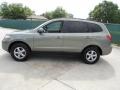 2008 Natural Khaki Green Hyundai Santa Fe GLS  photo #6