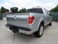 Ingot Silver Metallic - F150 Platinum SuperCrew Photo No. 3