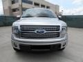 Ingot Silver Metallic - F150 Platinum SuperCrew Photo No. 8