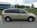 2007 Sunset Gold Kia Sedona LX  photo #2