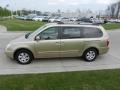 2007 Sunset Gold Kia Sedona LX  photo #6