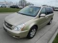 2007 Sunset Gold Kia Sedona LX  photo #7