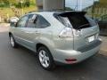 Bamboo Pearl - RX 350 AWD Photo No. 3