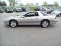 Light Pewter Metallic - Camaro Coupe Photo No. 12