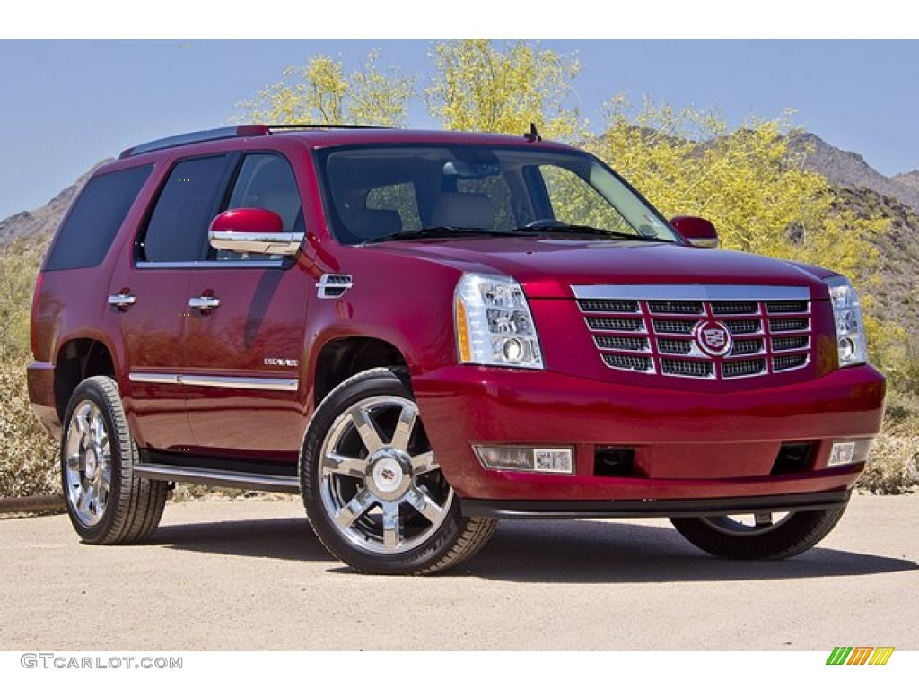 Infrared 2010 Cadillac Escalade AWD Exterior Photo #64566572