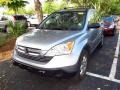 Whistler Silver Metallic - CR-V EX Photo No. 4