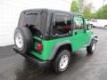 2004 Electric Lime Green Pearl Jeep Wrangler Sport 4x4  photo #9