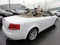 Ibis White - A4 2.0T Cabriolet Photo No. 8