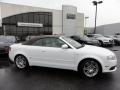 Ibis White - A4 2.0T Cabriolet Photo No. 42