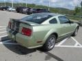 2005 Legend Lime Metallic Ford Mustang V6 Premium Coupe  photo #10