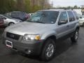 2005 Silver Metallic Ford Escape XLT V6 4WD  photo #1