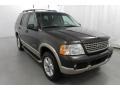Dark Stone Metallic - Explorer Eddie Bauer 4x4 Photo No. 3
