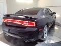 Pitch Black - Charger Rallye Photo No. 5