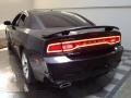 Pitch Black - Charger Rallye Photo No. 6