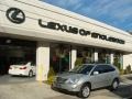 Tungsten Pearl - RX 350 AWD Photo No. 1
