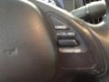 Platinum Graphite - G 37 x Sedan Photo No. 21