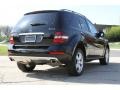 Black - ML 350 4Matic Photo No. 5