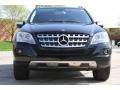 Black - ML 350 4Matic Photo No. 8
