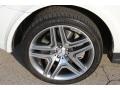 2010 Mercedes-Benz ML 63 AMG 4Matic Wheel and Tire Photo