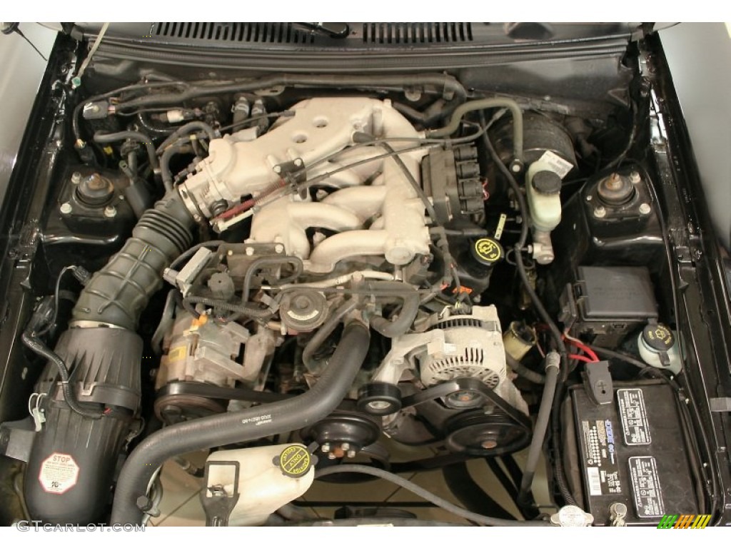 2000 Mustang V6 Coupe - Black / Medium Parchment photo #28