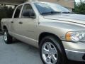 2004 Light Almond Pearl Dodge Ram 1500 SLT Quad Cab  photo #7