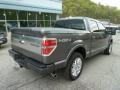 Sterling Grey Metallic 2011 Ford F150 Limited SuperCrew 4x4 Exterior