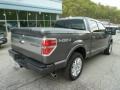 2011 Sterling Grey Metallic Ford F150 Limited SuperCrew 4x4  photo #2