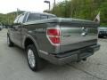 2011 Sterling Grey Metallic Ford F150 Limited SuperCrew 4x4  photo #4