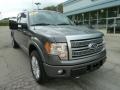 2011 Sterling Grey Metallic Ford F150 Limited SuperCrew 4x4  photo #8