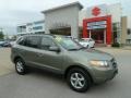 2008 Natural Khaki Green Hyundai Santa Fe GLS  photo #1