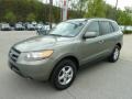 2008 Natural Khaki Green Hyundai Santa Fe GLS  photo #6